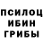 Псилоцибиновые грибы Magic Shrooms Phil Boss